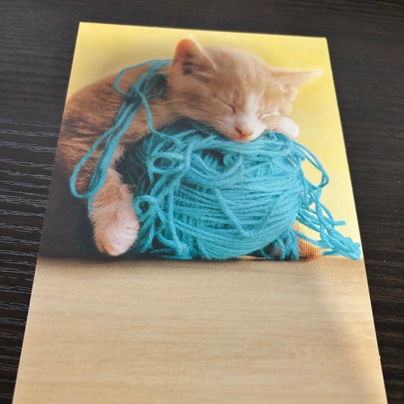 Blank Cat greeting card - Picture 1 of 2